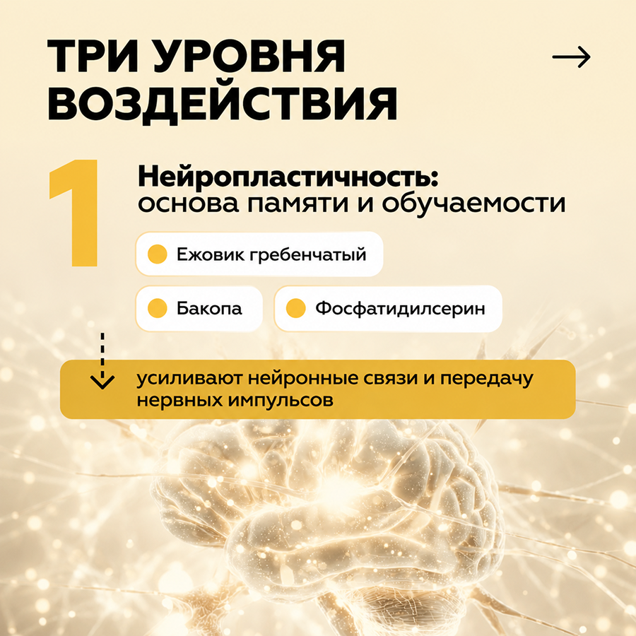Брейн-актив комплекс 60 капсул